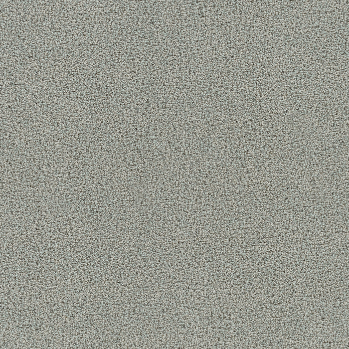 Heaven Sent III Polyester Olympia 2680 Carpet Textured 1