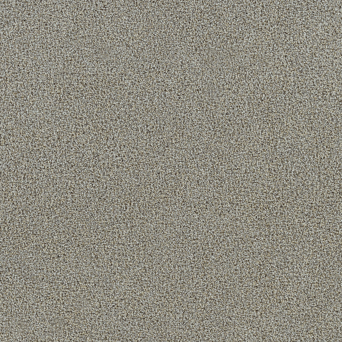 Heaven Sent I Polyester Honeysuckle 2694 Carpet Textured 1