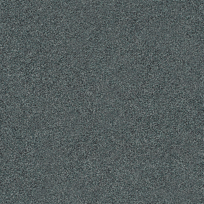 Heaven Sent II Polyester Exotic 2771 Carpet Textured 1