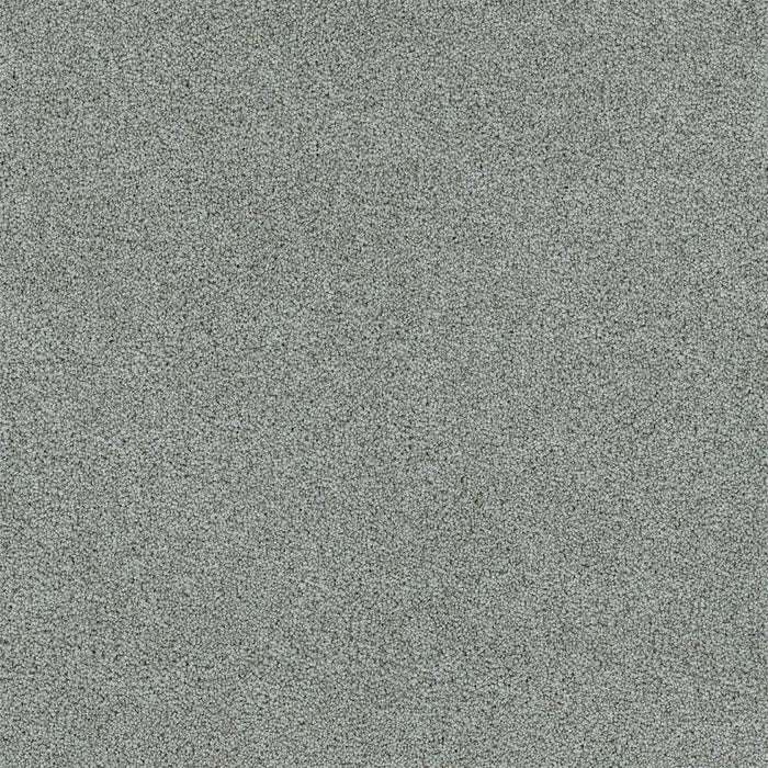 Heaven Sent I Polyester Silken 2866 Carpet Textured 1