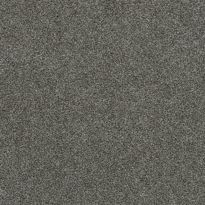 Heaven Sent I Polyester Kelso 4070 Carpet Textured 1