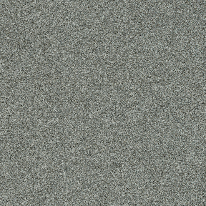 Heaven Sent I Polyester North Star 4075 Carpet Textured 1