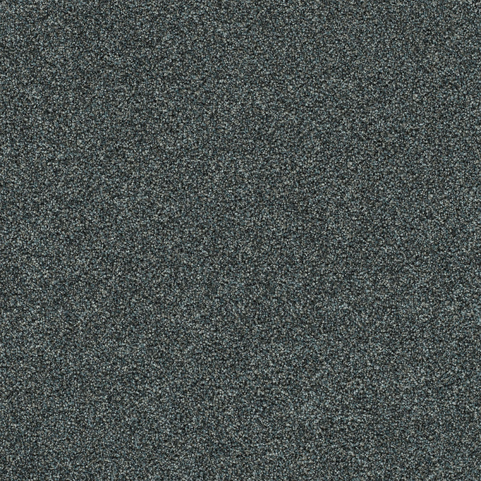 Heaven Sent I Polyester Sapphire 4222 Carpet Textured 1