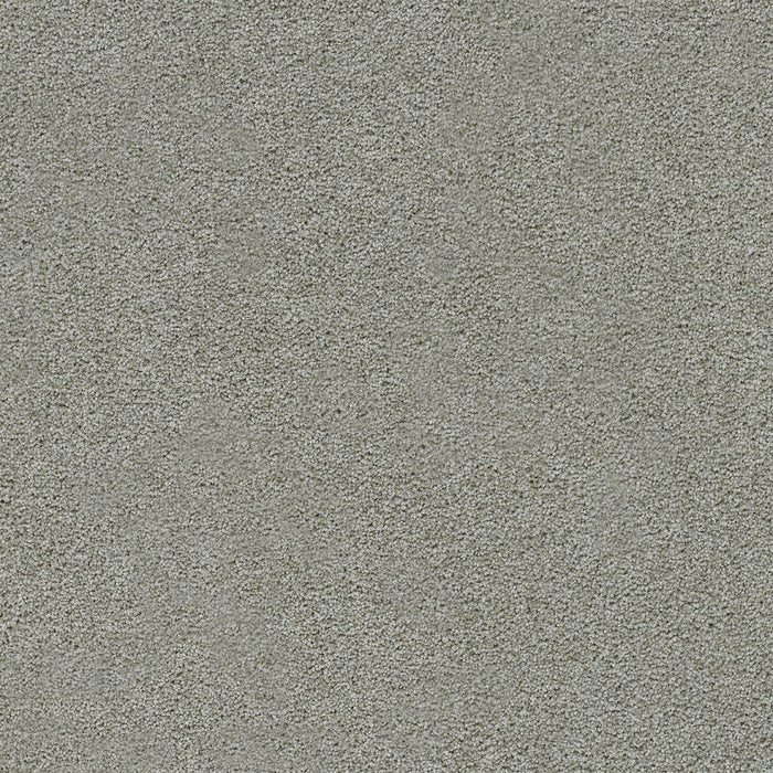 Heaven Sent I Polyester Romantic 4428 Carpet Textured 1