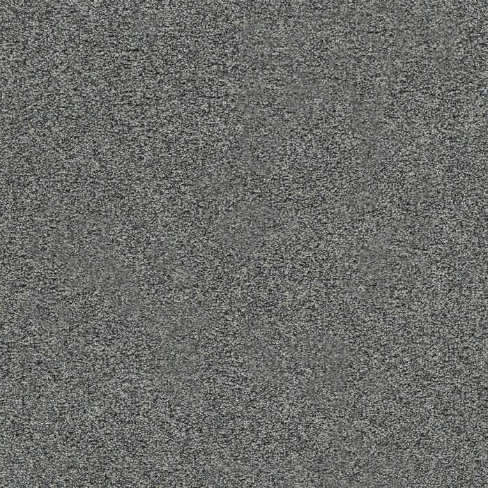 Heaven Sent I Polyester Moonwind 4444 Carpet Textured 1