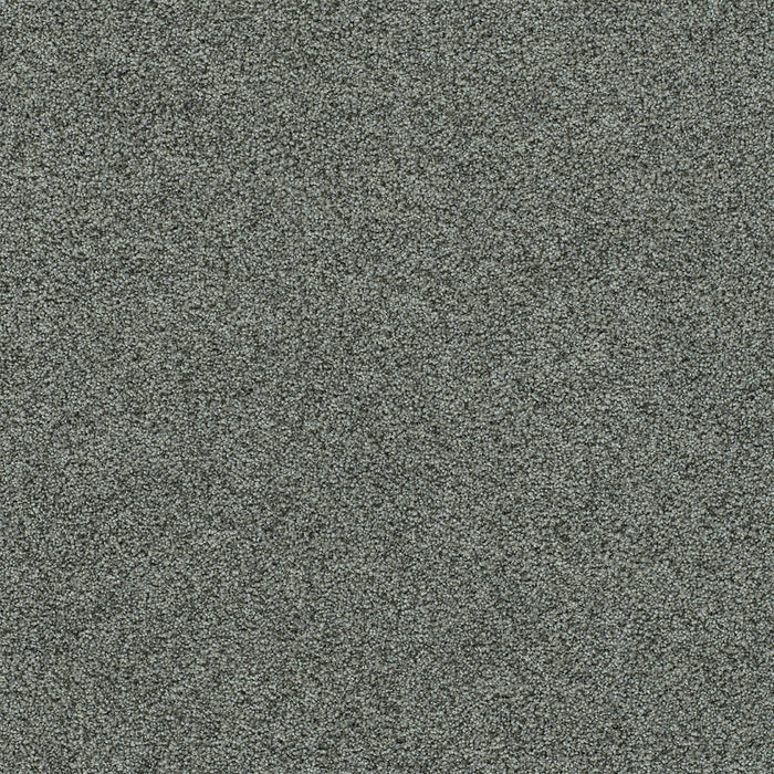 Heaven Sent II Polyester Cityscape 4449 Carpet Textured 1