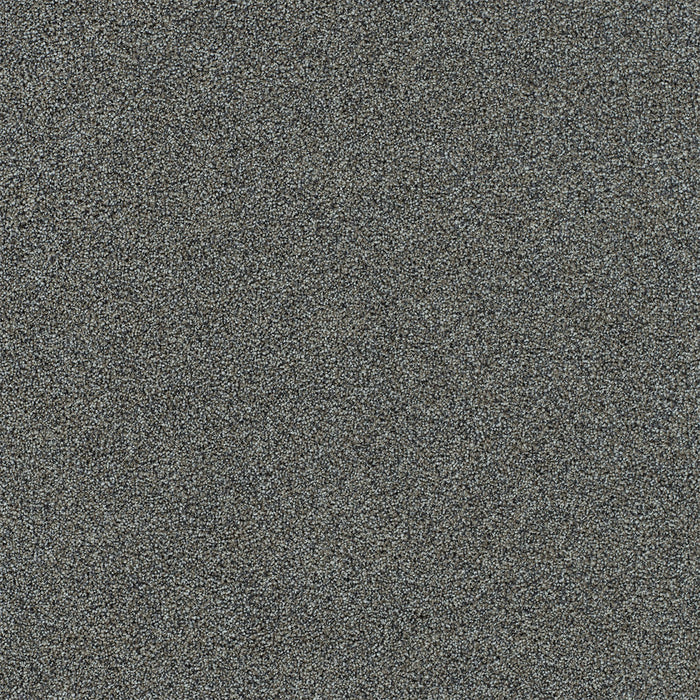 Heaven Sent I Polyester Wonderland 4599 Carpet Textured 1