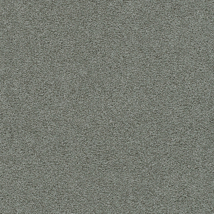 Heaven Sent III Polyester Silvermint 4685 Carpet Textured 1