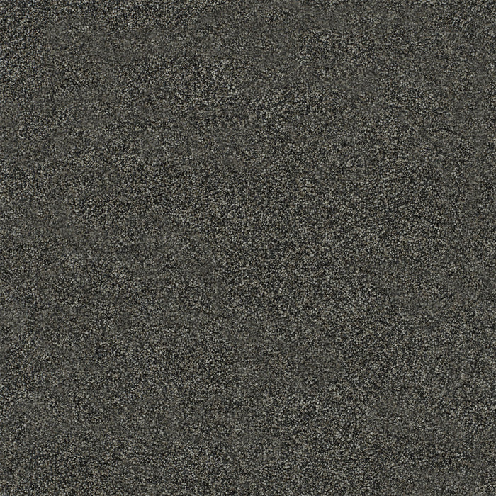 Heaven Sent I Polyester Cedarwood 4913 Carpet Textured 1