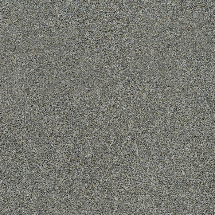 Heaven Sent I Polyester Dresden 5008 Carpet Textured 1