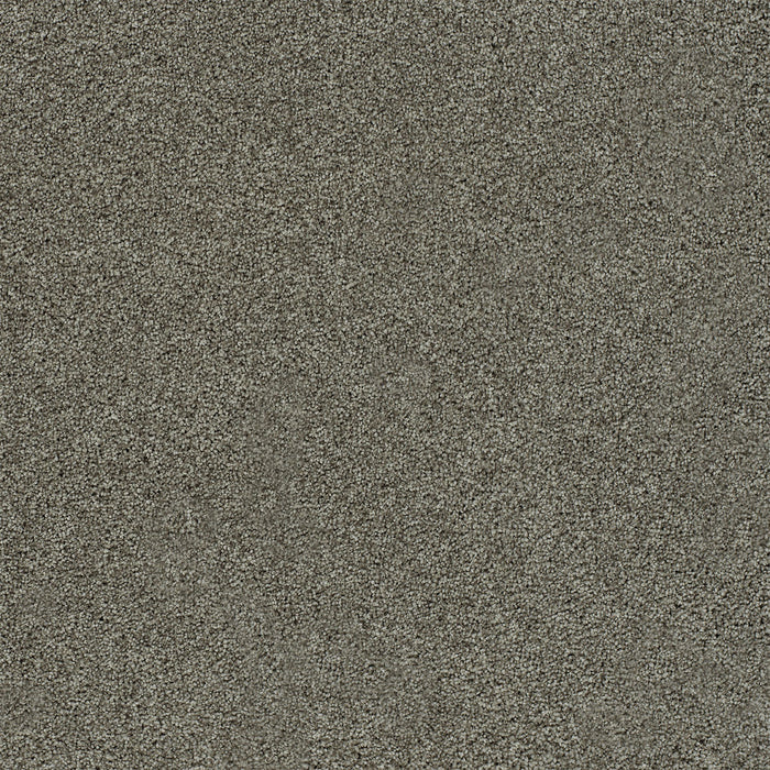 Heaven Sent I Polyester Laguna 5116 Carpet Textured 1