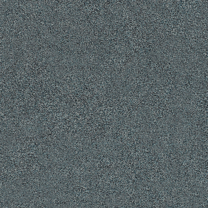 Heaven Sent I Polyester Evermore 5204 Carpet Textured 1