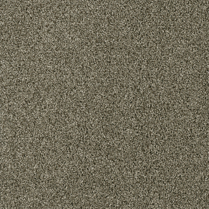 Yellowstone Polyester Monaco 244 Carpet Textured 1