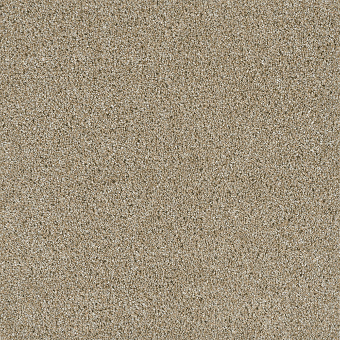 Yellowstone Polyester Outback 298 Carpet Textured 1