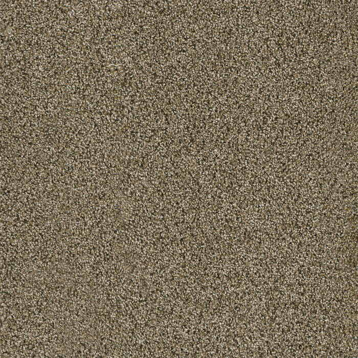 Yellowstone Polyester Island Spice 307 Carpet Textured 1