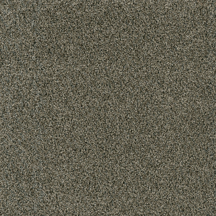 Yellowstone Polyester Midnight Shadow 427 Carpet Textured 1