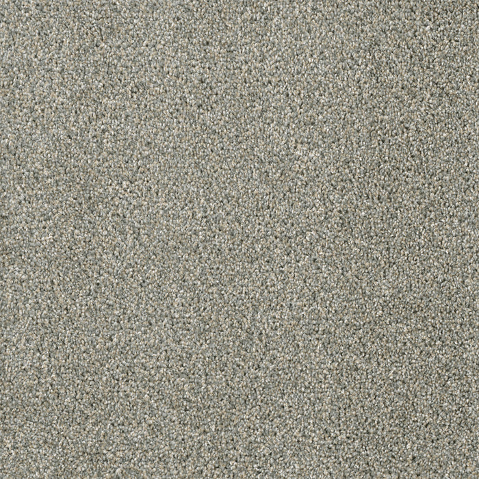 Yellowstone Polyester Sandy Trail 495 Carpet Textured 1