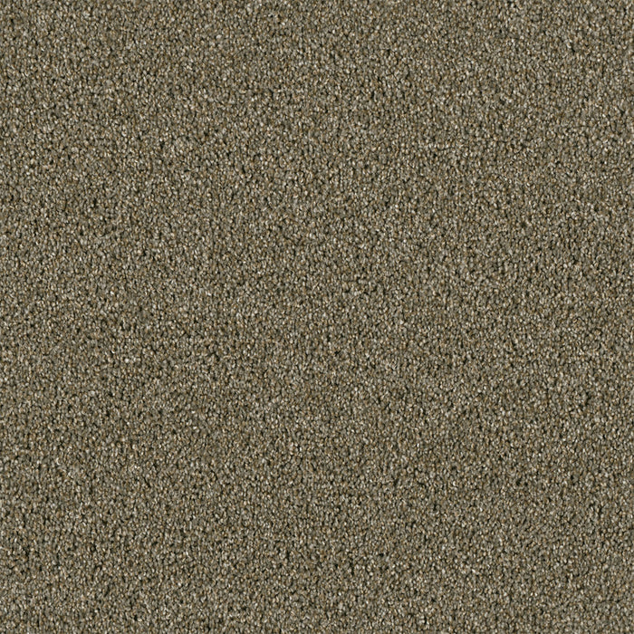 Yellowstone Polyester Cinnamon Tea 528 Carpet Textured 1