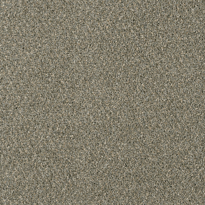 Yellowstone Polyester Smooth Sailing 641 Carpet Textured 1