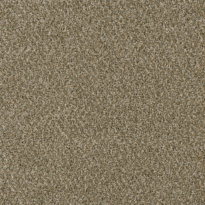 Yellowstone Polyester Sienna Sand 680 Carpet Textured 1