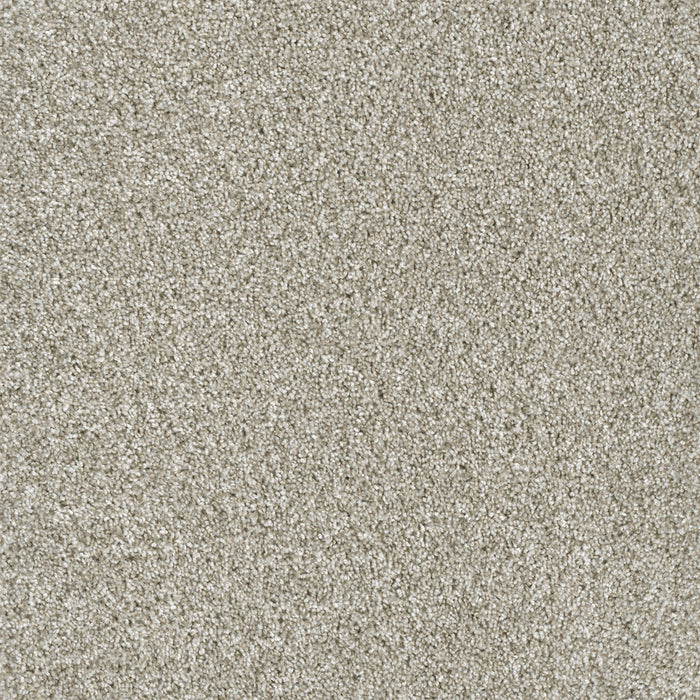 Yellowstone Polyester Winterbrooke 898 Carpet Textured 1
