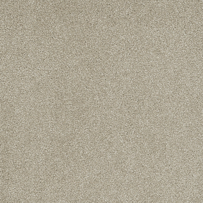 Rock Solid I Polyester Cream 580 Carpet Textured 1