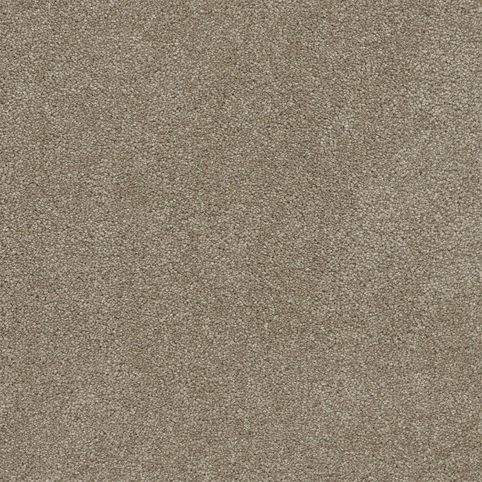 Rock Solid II Polyester Buff 720 Carpet Textured 1