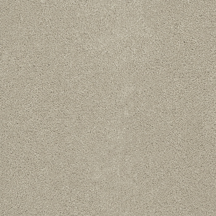 Rock Solid III Polyester Ivory 730 Carpet Textured 1