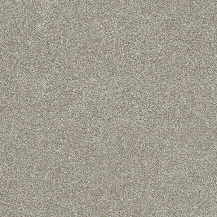 Rock Solid II Polyester Parchment 744 Carpet Textured 1