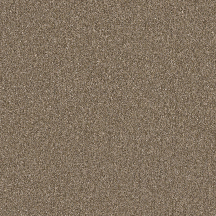 Rock Solid II Polyester Fox Tail 769 Carpet Textured 1