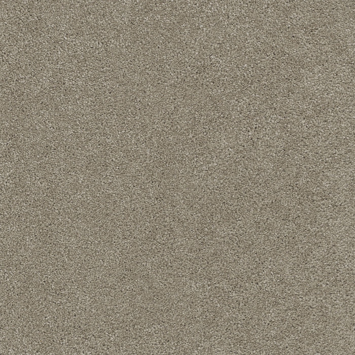 Rock Solid I Polyester Warm Teak 784 Carpet Textured 1