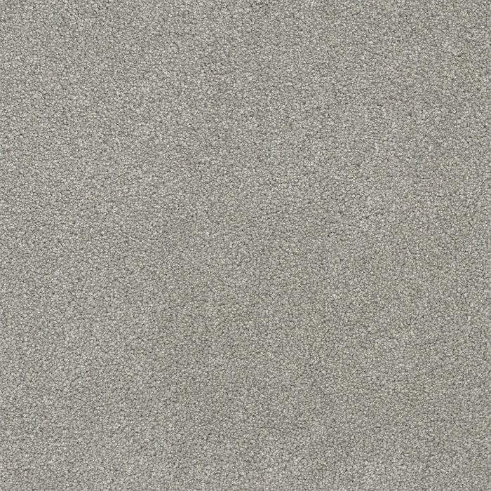 Rock Solid III Polyester Dove 800 Carpet Textured 1