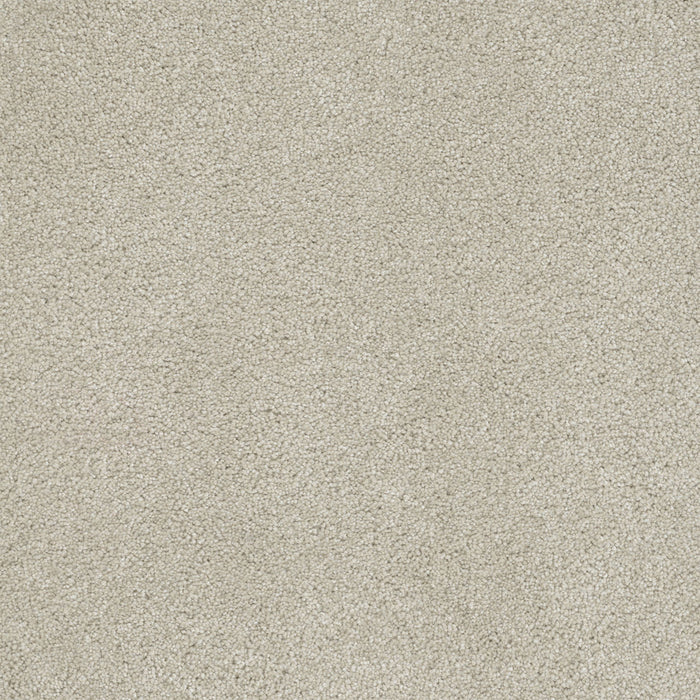 Rock Solid III Polyester Dusk 820 Carpet Textured 1