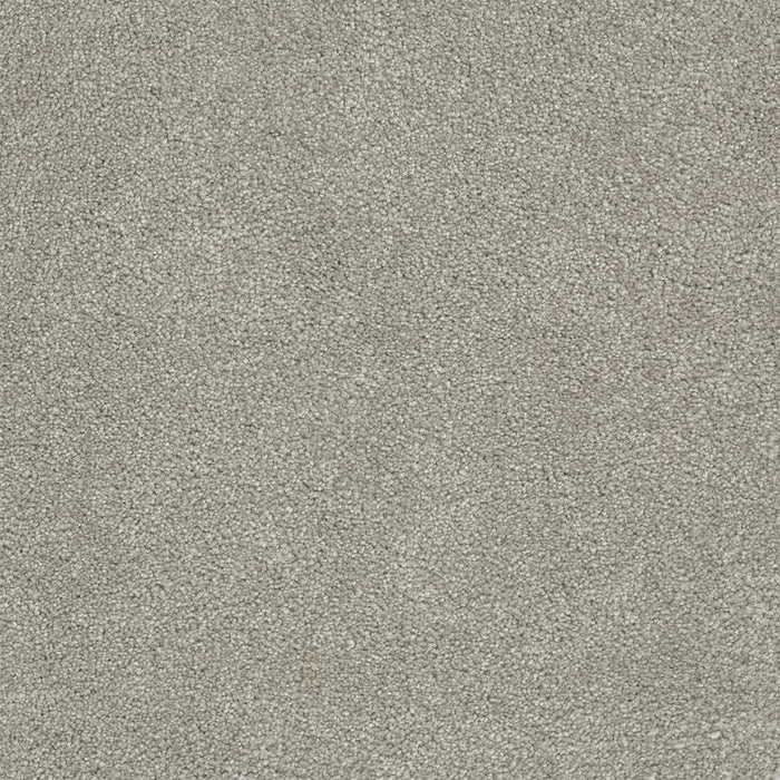 Rock Solid II Polyester Silver Lining 830 Carpet Textured 1