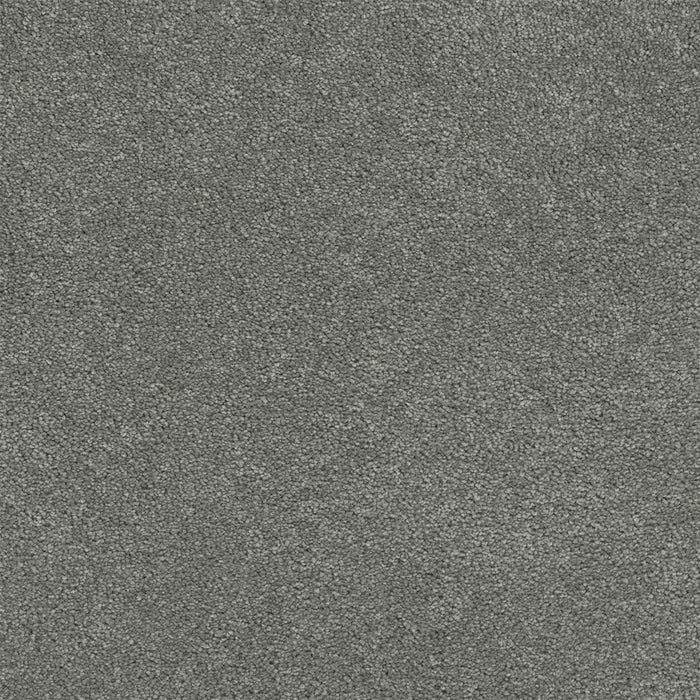 Rock Solid III Polyester Dark Platinum 889 Carpet Textured 1