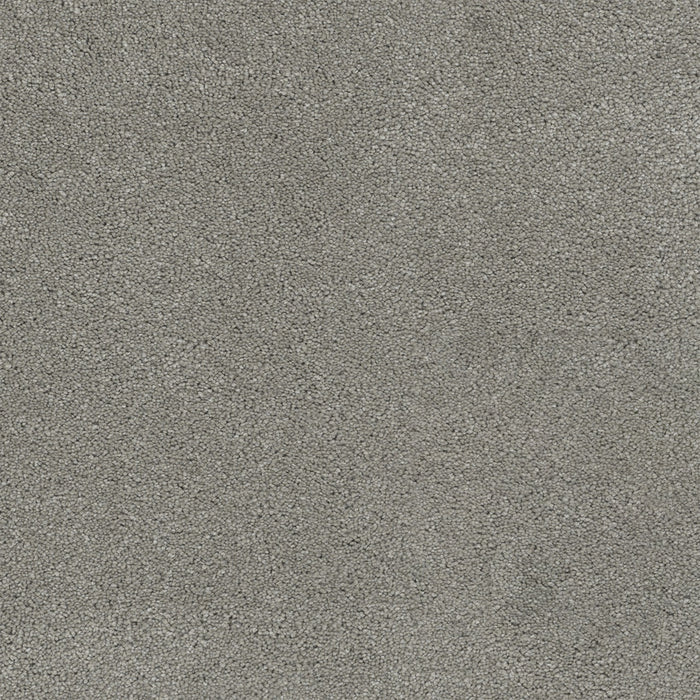 Rock Solid I Polyester Chrome 927 Carpet Textured 1