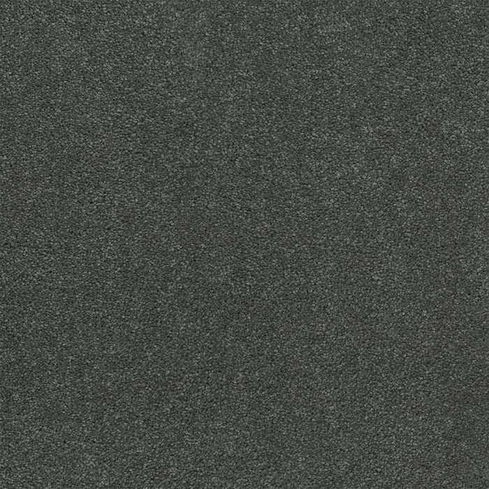 Rock Solid II Polyester Mysterious 960 Carpet Textured 1