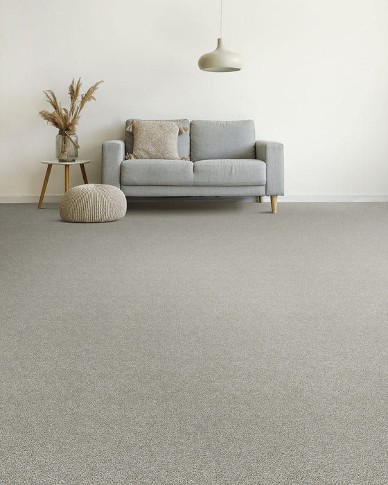 Rock Solid III Polyester Dove 800 Carpet Textured 2
