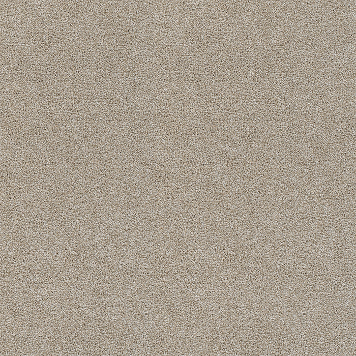 Rock Solid II Polyester Beach Sand 719 Carpet Textured 1