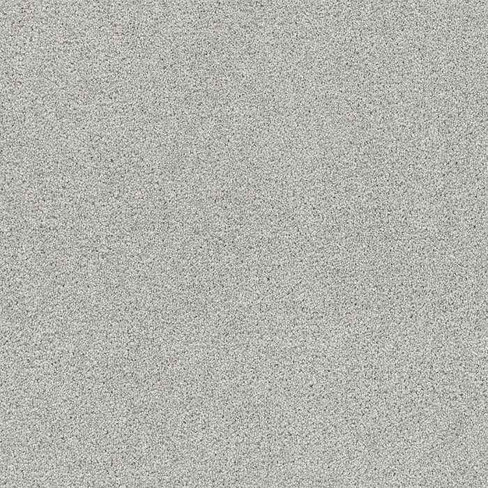 Rock Solid II Polyester Morning Dove 813 Carpet Textured 1