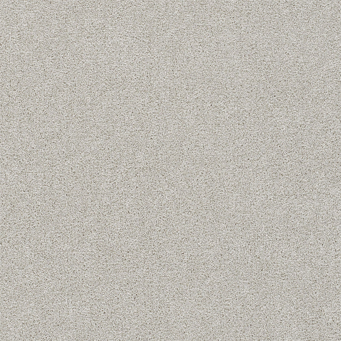 Rock Solid I Polyester Andes 924 Carpet Textured 1