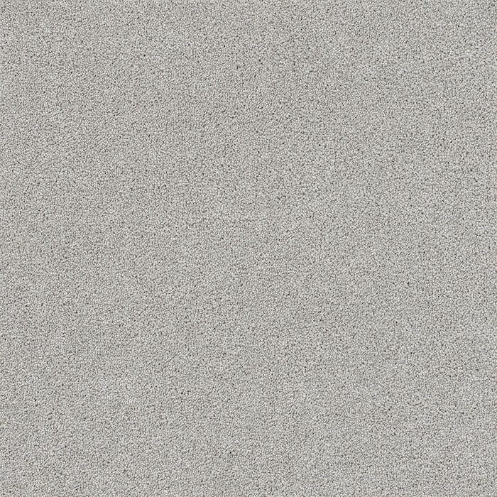 Rock Solid II Polyester Slumber 926 Carpet Textured 1