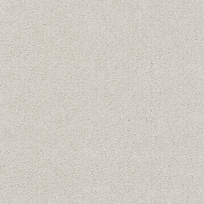 Rock Solid II Polyester Snowbird 944 Carpet Textured 1