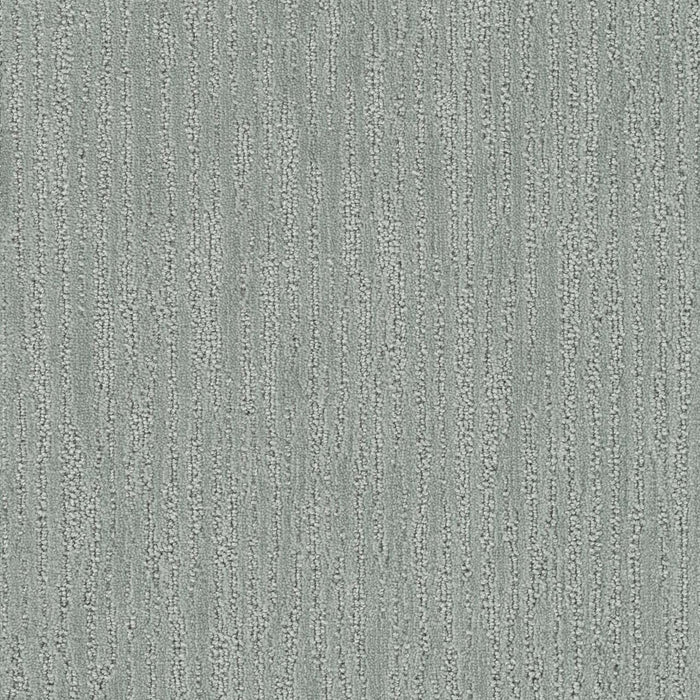 Darlington Polyester Absolute 2083 Carpet Loop 1