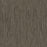 Darlington Polyester Urbandale 870 Carpet Loop 1