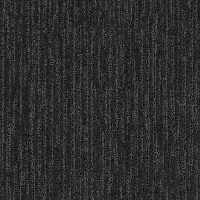 Darlington Polyester Star Gaze 998 Carpet Loop 1