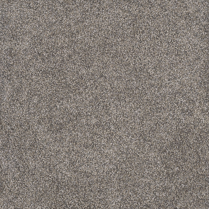 Rustic Retreat II Polyester Dried Sage 4112 Carpet Textured 1