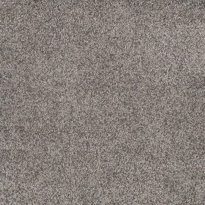 Rustic Retreat II Polyester Songbird 4120 Carpet Textured 1