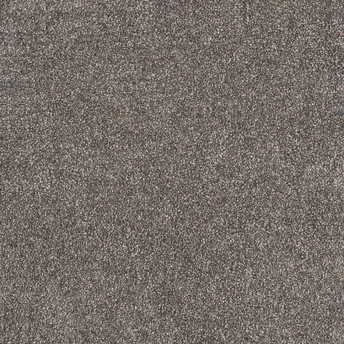 Rustic Retreat I Polyester Tuscanna 4123 Carpet Textured 1
