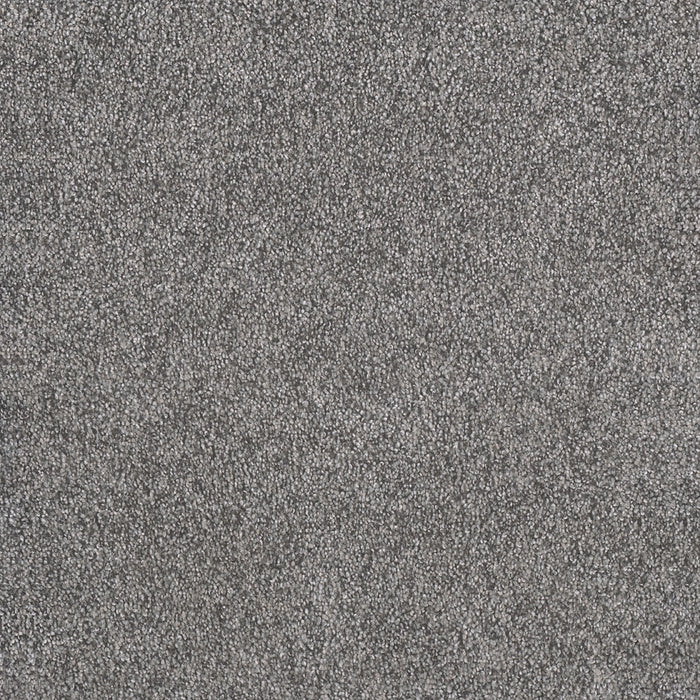 Rustic Retreat I Polyester Blueberry Field 4125 Carpet Textured 1